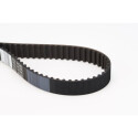Courroie de distribution CONTINENTAL CTAM CT1061
