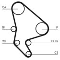 Jeu de courroies de distribution CONTINENTAL CTAM CT1063K3