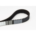 Courroie de distribution CONTINENTAL CTAM CT1078