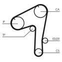Courroie de distribution CONTINENTAL CTAM CT1084