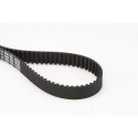 Courroie de distribution CONTINENTAL CTAM CT1088