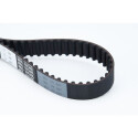 Courroie de distribution CONTINENTAL CTAM CT1089