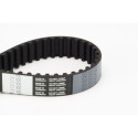 Courroie de distribution CONTINENTAL CTAM CT1100