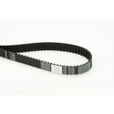Courroie de distribution CONTINENTAL CTAM CT1101