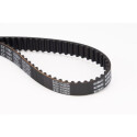 Courroie de distribution CONTINENTAL CTAM CT1107
