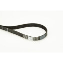 Courroie de distribution CONTINENTAL CTAM CT1149