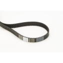 Courroie de distribution CONTINENTAL CTAM CT1162