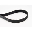 Courroie de distribution CONTINENTAL CTAM CT1163