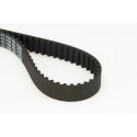 Courroie de distribution CONTINENTAL CTAM CT1168
