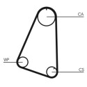 Courroie de distribution CONTINENTAL CTAM CT504