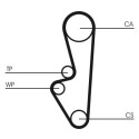 Courroie de distribution CONTINENTAL CTAM CT524