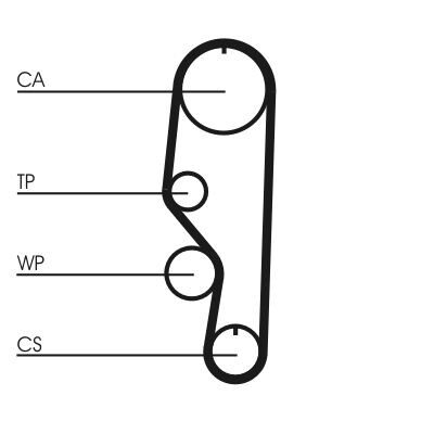Courroie de distribution CONTINENTAL CTAM CT557