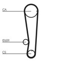 Courroie de distribution CONTINENTAL CTAM CT715