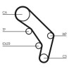 Jeu de courroies de distribution CONTINENTAL CTAM CT755K1