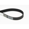 Courroie de distribution CONTINENTAL CTAM CT759