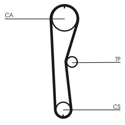 Courroie de distribution CONTINENTAL CTAM CT824