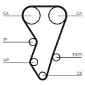 Courroie de distribution CONTINENTAL CTAM CT864