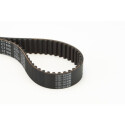 Courroie de distribution CONTINENTAL CTAM CT910