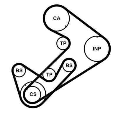 Jeu de courroies de distribution Continental CTAM CT921K3PRO