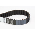 Courroie de distribution CONTINENTAL CTAM CT949