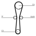 Courroie de distribution CONTINENTAL CTAM CT954