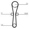 Kit de courroie de distribution CONTINENTAL CTAM CT954K1
