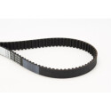 Courroie de distribution CONTINENTAL CTAM CT975