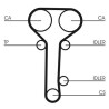 CONTINENTAL CTAM CT978K2 jeu de courroies de distribution