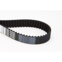 Courroie de distribution CONTINENTAL CTAM CT995