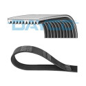 Courroie trapézoïdale à nervures DAYCO 10PK1448HD