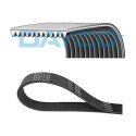 Courroie trapézoïdale à nervures DAYCO 12PK1814HD