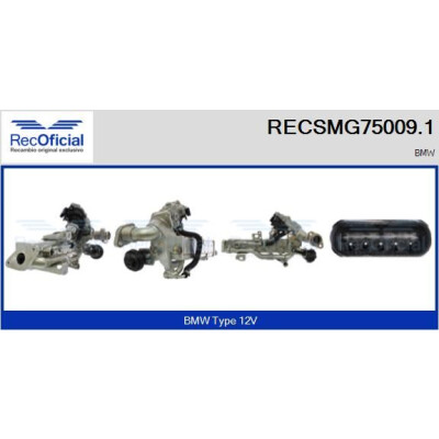 Module EGR RECSMG75009.1