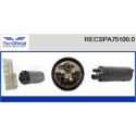 Pompe à carburant RECOFICIAL RECSPA75100.0