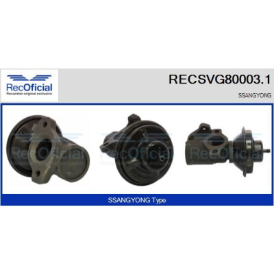 Vanne EGR RECSVG80003.1