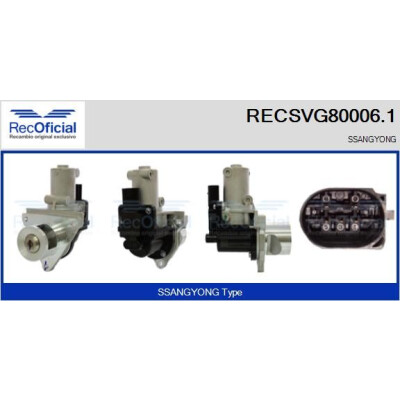 Vanne EGR RECSVG80006.1