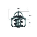 Thermostat, liquide de refroidissement NAGARES TX 5 83D