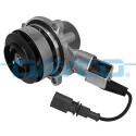 Pompe à eau, refroidissement moteur DAYCO DP1981