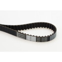 Courroie de distribution CONTINENTAL CTAM CT1005