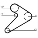 Jeu de courroies de distribution CONTINENTAL CTAM CT517K1