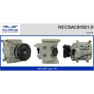 Compresseur, climatisation RECOFICIAL RECSAC81021.0