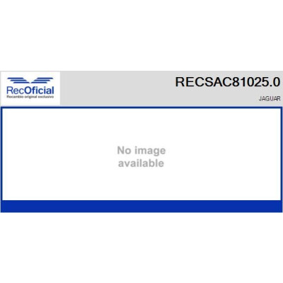 Compresseur, climatisation RECOFICIAL RECSAC81025.0