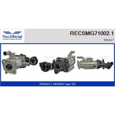 Module EGR RECSMG71002.1