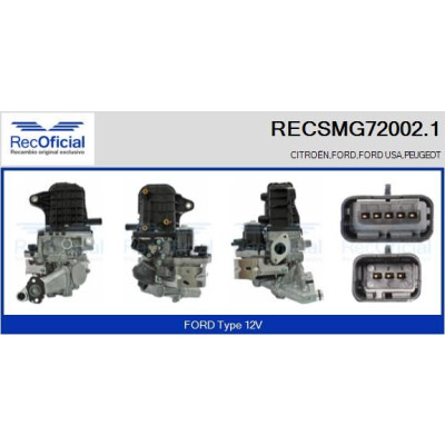 Module EGR RECSMG72002.1