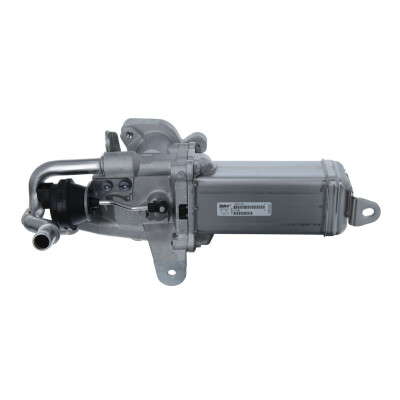 Module-EGR