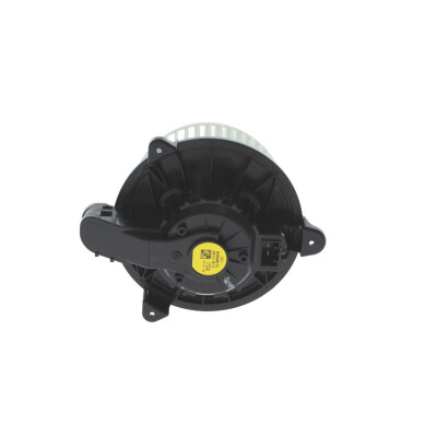 Pulseur d'air habitacle