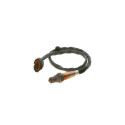 Sonde lambda