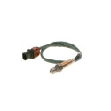 Sonde lambda