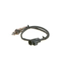 Sonde lambda