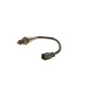 Sonde lambda