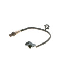 Sonde lambda